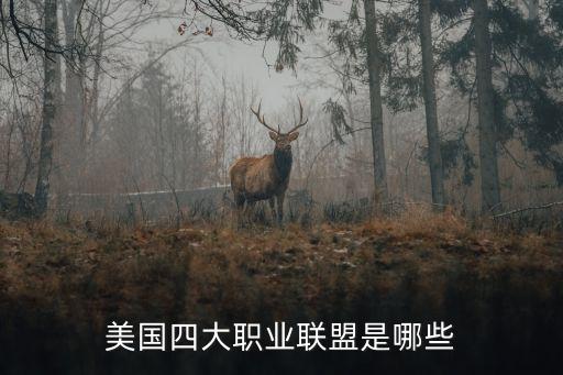 中國(guó)橄欖球協(xié)會(huì)，哪些大學(xué)有橄欖球社團(tuán)