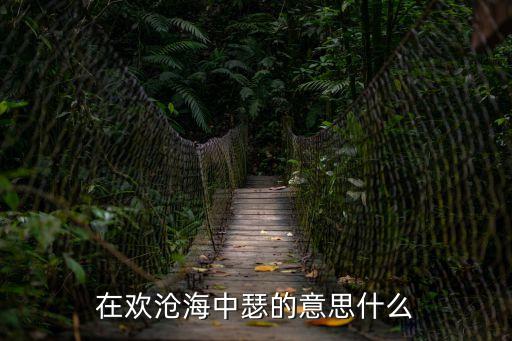 瑟是什么意思，在歡滄海中瑟的意思什么