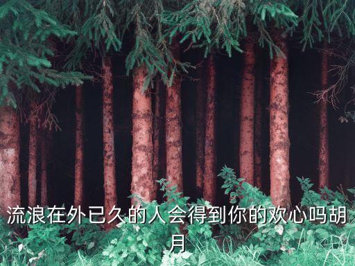 胡月，流浪在外已久的人會得到你的歡心嗎胡月