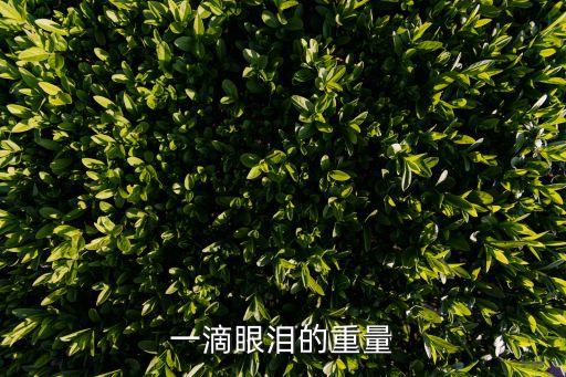 眼淚有多重，一滴眼淚的重量