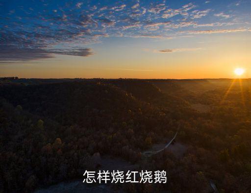 怎樣燒紅燒鵝