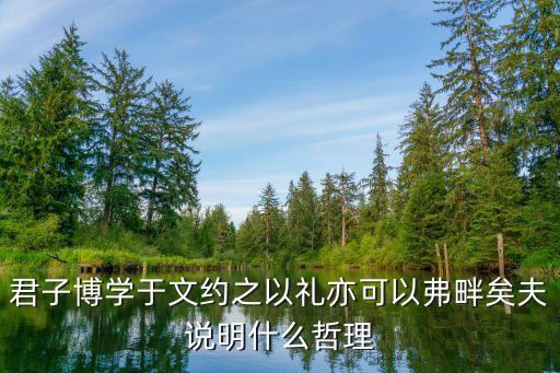 君子博學于文約之以禮亦可以弗畔矣夫說明什么哲理
