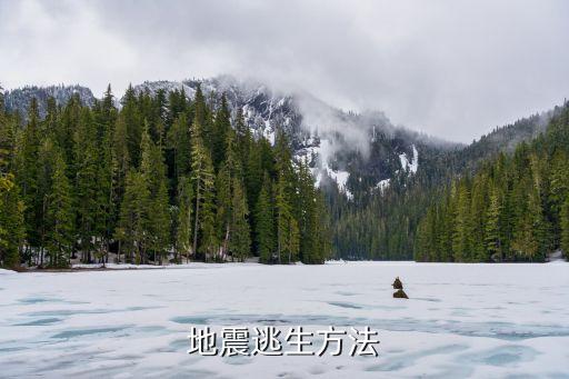 地震逃生方法，地震逃生方法有多少
