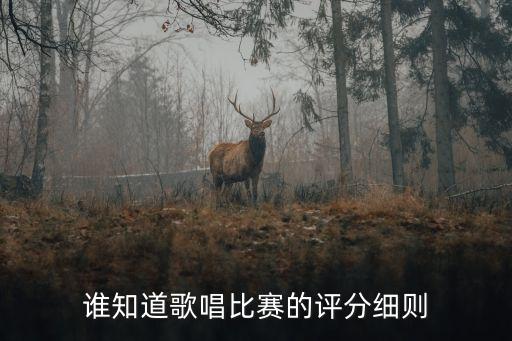 大合唱評分標準，關于大合唱的評分制度