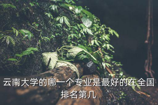 云南大學全國排名，云南大學的哪一個專業是最好的在全國排名第幾