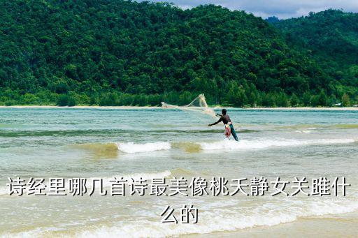 詩經最美的十首詩，詩經里哪幾首詩最美像桃夭靜女關雎什么的