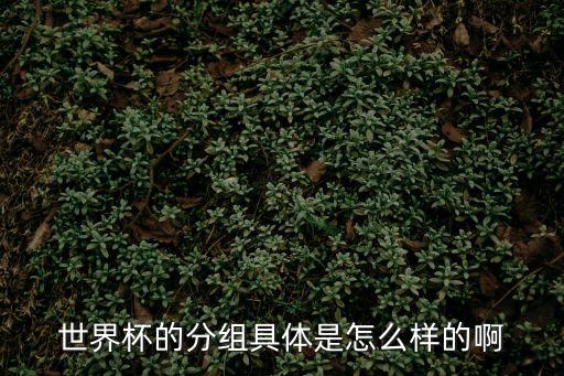 世界杯小組賽分組，世界杯分組有誰稍微了解的