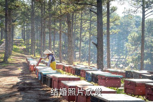 結婚圖片大全，結婚照片欣賞