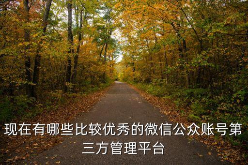 現(xiàn)在有哪些比較優(yōu)秀的微信公眾賬號(hào)第三方管理平臺(tái)
