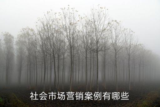營銷策劃案例，哪里有比較好的一些營銷策劃案例