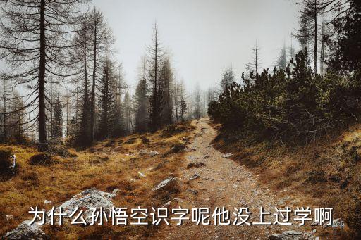 孫悟空識字，為什么孫悟空識字呢他沒上過學啊