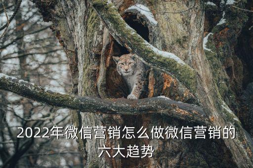 微信營銷新聞，微信營銷不是賣產品而是賣人