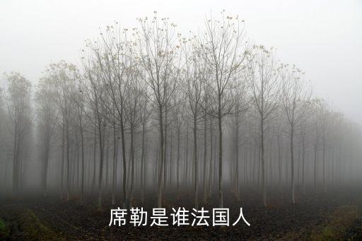 席勒是誰法國人