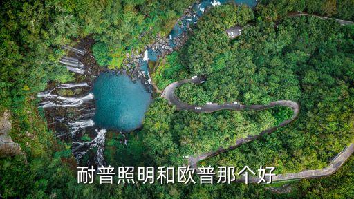 耐普照明，耐普燈具怎么樣啊哪里有專賣店我們這邊沒有的跟歐普比有價格