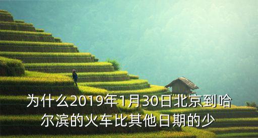 為什么2019年1月30日北京到哈爾濱的火車比其他日期的少