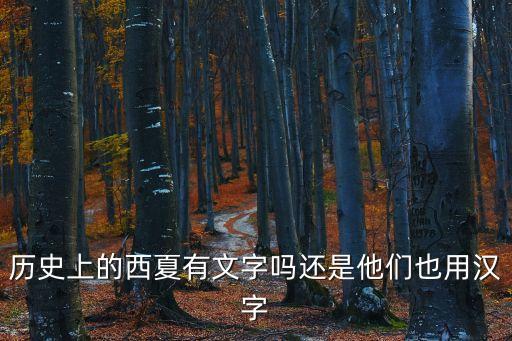 歷史上的西夏有文字嗎還是他們也用漢字