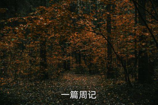 一篇周記