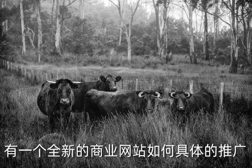 有一個全新的商業網站如何具體的推廣