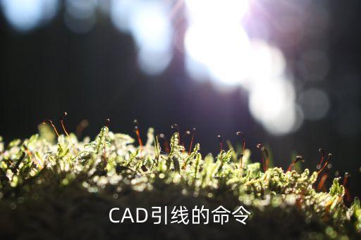 cad引線，CAD引線的命令