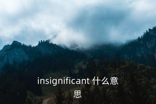 無足輕重的意思，請問成語 無 輕重