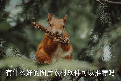 圖片素材庫，我要最好的素材網(wǎng)站素材要全面