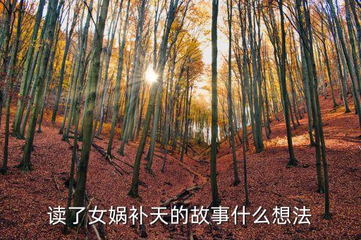 女?huà)z補(bǔ)天讀后感，讀了女?huà)z補(bǔ)天的故事什么想法