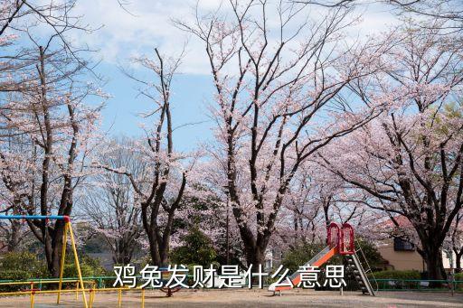 雞兔，雞兔發(fā)財是什么意思