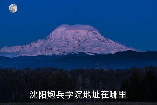 沈陽炮兵學院地址在哪里