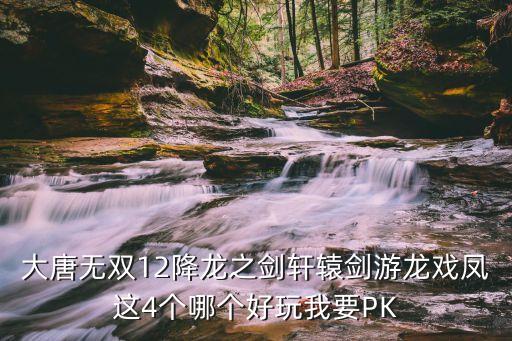 大唐無雙12降龍之劍軒轅劍游龍戲鳳這4個哪個好玩我要PK