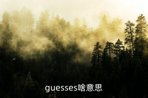 guesses啥意思
