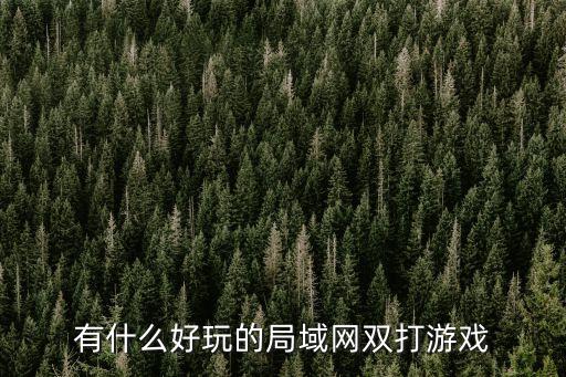 局域網(wǎng)游戲，有什么好玩的局域網(wǎng)雙打游戲