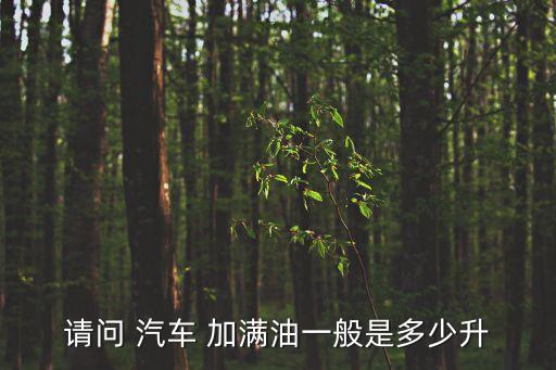 油箱一般多少升，請問 汽車 加滿油一般是多少升
