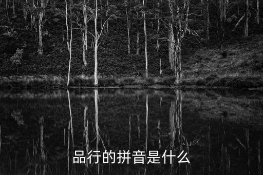 品行的拼音是什么
