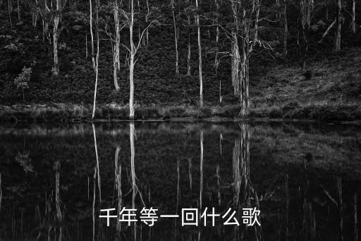 千年等一回歌詞，千年等一回這是什么歌