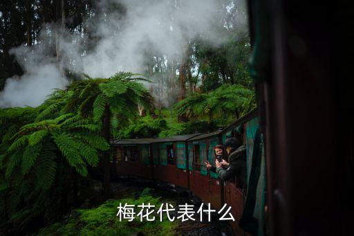 梅花是什么意思，梅花是什么意思