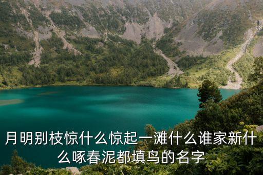誰家新燕啄春泥，月明別枝驚什么驚起一灘什么誰家新什么啄春泥都填鳥的名字