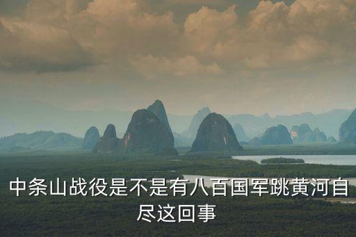 中條山戰(zhàn)役，中條山之戰(zhàn) 國(guó)軍為何打得那么失敗呢