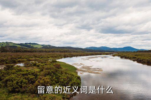 留意的近義詞是什么