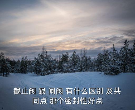 截止閥和閘閥的區別，截止閥 跟 閘閥 有什么區別 及共同點 那個密封性好點