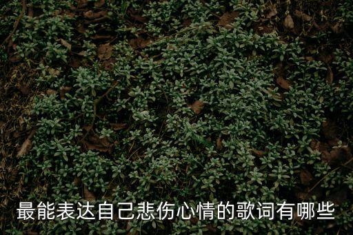 心情歌詞，最能表達自己悲傷心情的歌詞有哪些