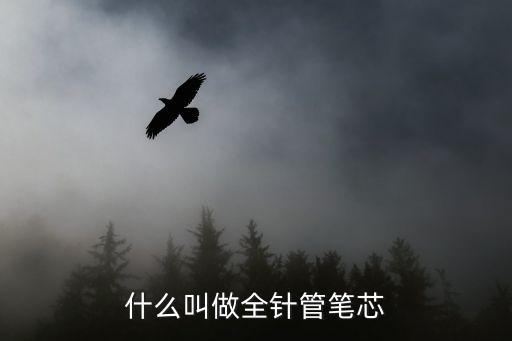 什么叫做全針管筆芯