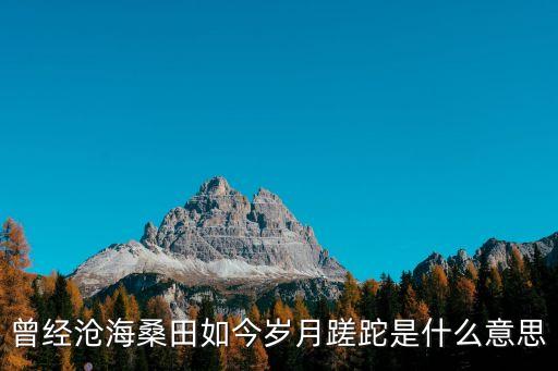 曾經滄海桑田如今歲月蹉跎是什么意思