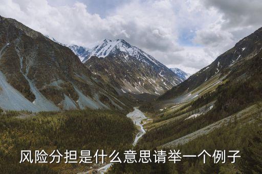 風(fēng)險(xiǎn)分擔(dān)，風(fēng)險(xiǎn)分擔(dān)是什么意思請(qǐng)舉一個(gè)例子