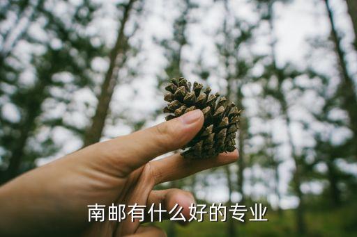 南郵有什么好的專業