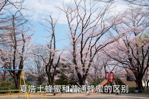 土蜂蜜和普通蜂蜜的區(qū)別，夏浩土蜂蜜和普通蜂蜜的區(qū)別