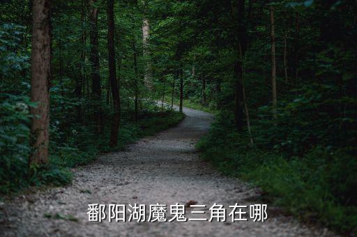 鄱陽湖老爺廟水域，探秘時刻之鄱陽湖沉船之謎關于鄱陽湖老爺廟水域水怪的解釋