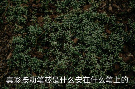 真彩按動(dòng)筆芯是什么安在什么筆上的