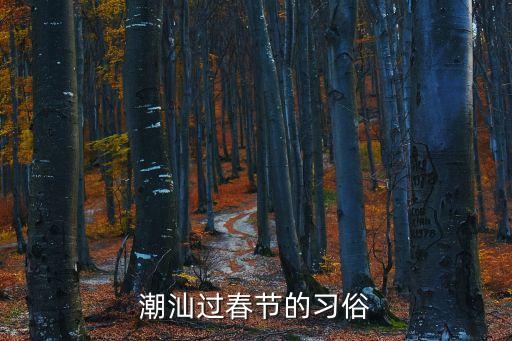 潮汕過春節的習俗