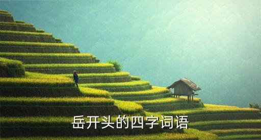 岳的成語，成語岳什么什么什么