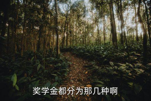 一等獎學金，學習獎學金與獎學金之間的區別